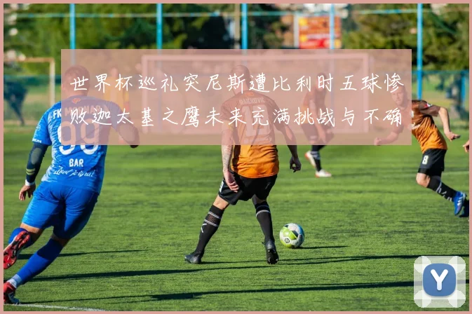 世界杯巡礼突尼斯遭比利时五球惨败迦太基之鹰未来充满挑战与不确定性